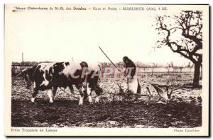 Postcard Old Hitch Oxen Cistercian Abbey of Our Lady of Dombes Marlieux Trapp...