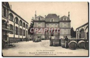 Old Postcard Folklore Wine House Champagne Vineyards Gauthier castle Archers ...