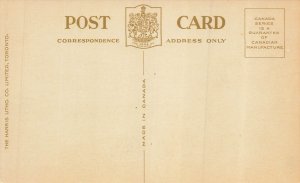 Niagara Falls & Rainbow Bridge From Niagara Falls Canada Postcard