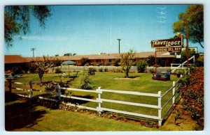 CHULA VISTA, California CA  Roadside RANCHO DEL REY Travelodge c1960s Postcard