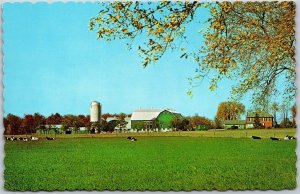 Postcard c1960s Greetings From Georgetown Ontario Scenic Farm View Cows