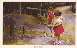 Game Ranch Historic Stone Mounthain Georgia