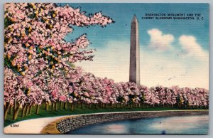 Postcard Washington DC c1953 Monument And The Cherry Blossoms