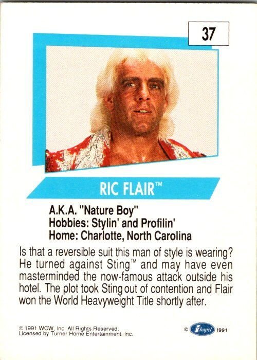 1991 WCW Wrestling Card Ric Flair sk21163