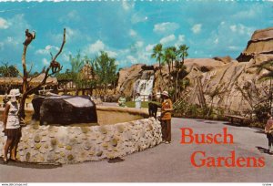 TAMPA , Florida , 1977 ; Boma ai Busch Gardens