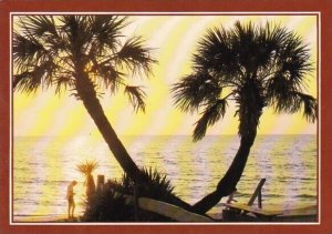 Palmetto Palms Line The Golden Grand Stand Beaches Of North Myrtle Beach Sout...