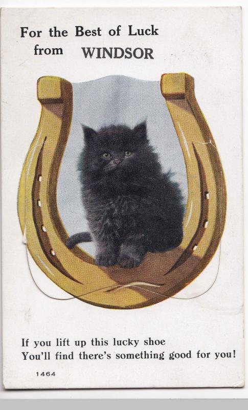 Berkshire; Best Of Luck From Windsor Novelty Foldout PPC, 1929 PMK, Shows Kitten