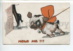 438591 SPURGIN BOW-WOW Smiling FRENCH BULLDOG Dog Vintage postcard #481