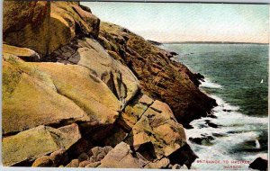 Postcard NATURE SCENE Halifax Nova Scotia NS AO0080