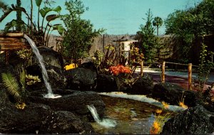 Florida Cypress Gardens Oriental Garden At Entrance 1967