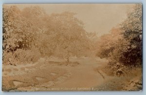 London England Postcard Boothill Wood Pleasure Gardens c1910 RPPC Photo