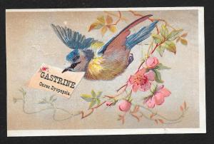 VICTORIAN TRADE CARD Gastrine Bluebird w/note