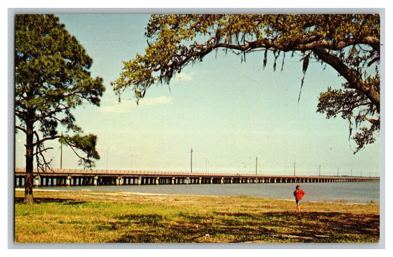 Highway 90 Bridge Bay of St. Louis Mississippi Vintage Standard View Postcard