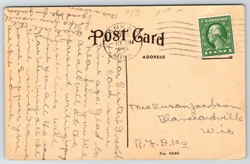 Mankato Minnesota~Handcolored MNSU MSNS~Normal School~Mirror-Image Homes c1910