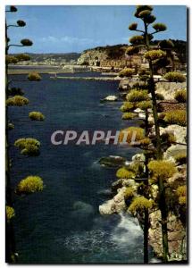Nice Modern Postcard Reflections De La Cote D & # 39Azur L & # 39entree port ...