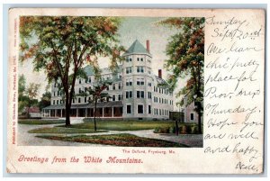 1903 Greetings From The White Mountains The Oxford View Fryeburg ME Postcard