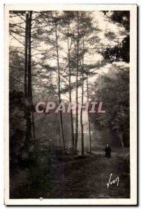 Old Postcard Huelgoat (Finistere) in the forest along the road