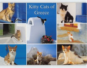 Postcard Kitty Cats of Greece