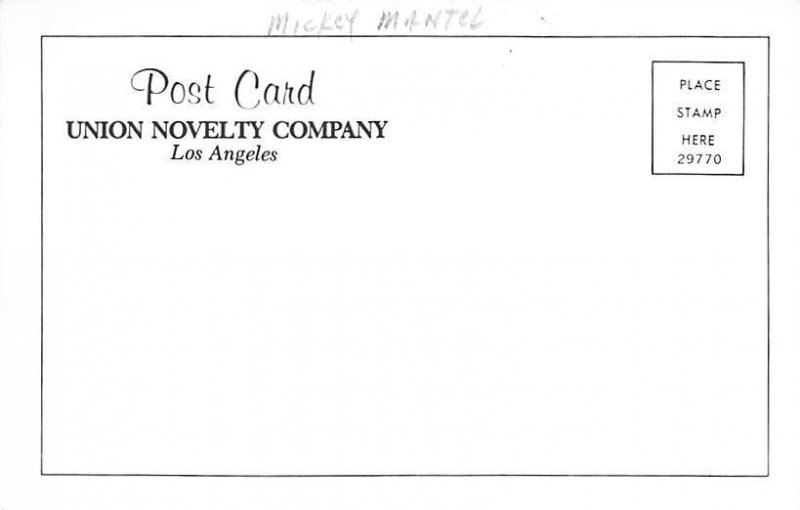 Mickey Mantle Baseball Player View Postcard Backing 