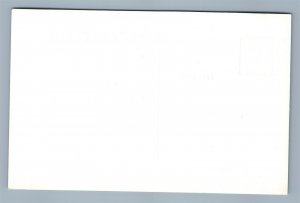 SITKA AK SHELDON JACKSON SCHOOL No. 341 VINTAGE REAL PHOTO POSTCARD RPPC