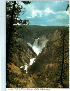 M-24556 Lower Falls in Grand Canyon of the Yellowstone National Park Wyoming
