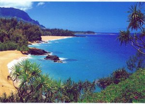 VINTAGE POSTCARD CONTINENTAL SIZE LUMAHAI BEACH KAUAI HAWAII MODERN