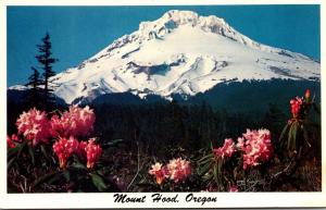 Oregon Mount Hood With Blooming Mountain Rhododendrons