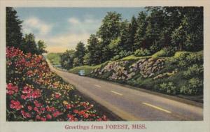 Mississippi Greetings From Forest