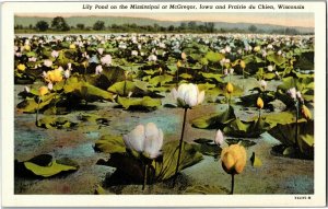 Lily Pond on Mississippi River at McGregor IA PDC WI Vintage Linen Postcard L32