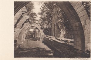 Alvastra Ruins Sweden Antique Postcard