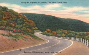 Vintage Postcard Along Highway Taconic Trail From Tourist Shop Massachusetts MA