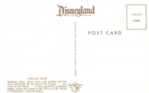 Vintage Postcard African Veldt Grassland Region River Banks Disneyland Adventure