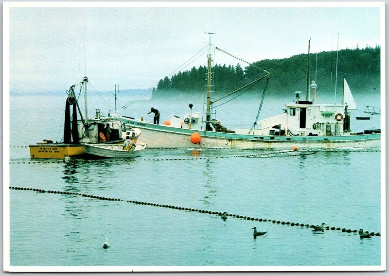 Herring Fishing Along A Foggy Maine ME Coast Postcard United States