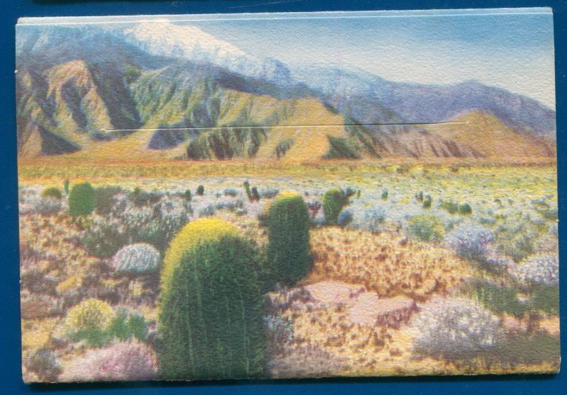 Desert Scenes of California linen postcard folder #2