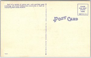 Petrified Forest Headquarters North Dakota ND Badlands Cedar Canyon Postcard