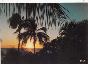 BF28387 africa coucher de soleil   front/back image