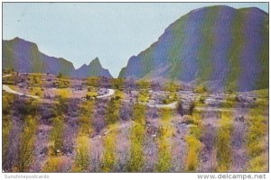 Texas Big Bend Campground In Chisos Mountains 1974