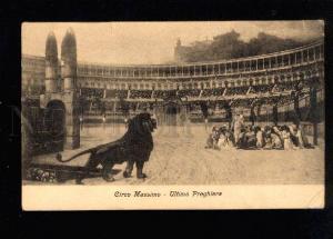 038526 Roma LION & Tigers CIRCUS vintage Postcard