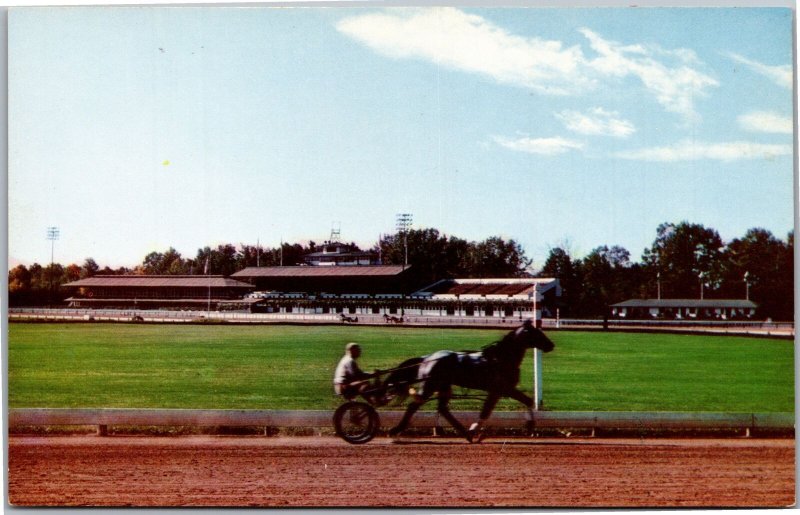 Postcard NY Saratoga Springs Harness Sulky race training Saratoga Raceway