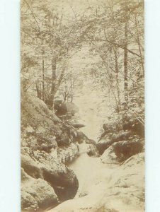 Old rppc NATURE SCENE Great Postcard AB0824