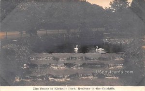 Swans in Kirkside Park - Roxbury in the Catskills, New York NY  