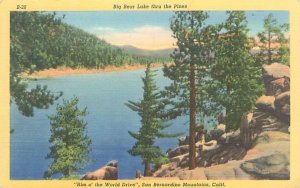 Big Bear Lake Through the Pines Linen Postcard Unused