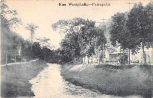 Petropolis Brazil Rua Westphalia Scenic View Antique Postcard J79719