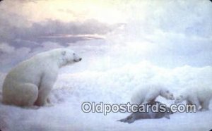 Polar, Artic Alaska, USA Bear Postcard