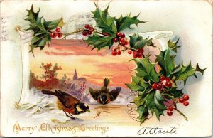 VINTAGE POSTCARD MERRY CHRISTMAS GREETINGS RAPHAEL TUCK BIRDS THISTLE 1906 tears