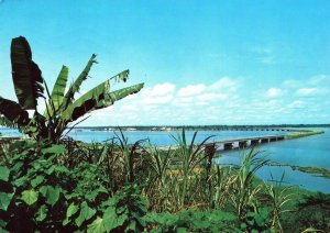 VINTAGE CONTINENTAL SIZE POSTCARD POINT SUR LE WOURI CAMEROUN AFRICA 1978