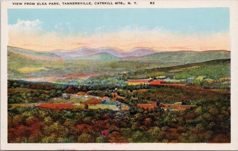 Tannersville Catskills Mountains NY View fr Elka Park Unused Ruben Postcard H35