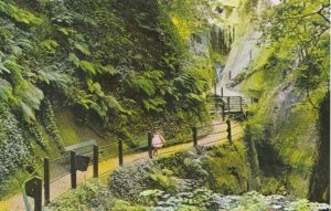 Isle of Wight Postcard -The Chine - Shanklin - Ref 7501A