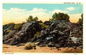 Postcard NATURE SCENE Flagstaff Arizona AZ AR7011