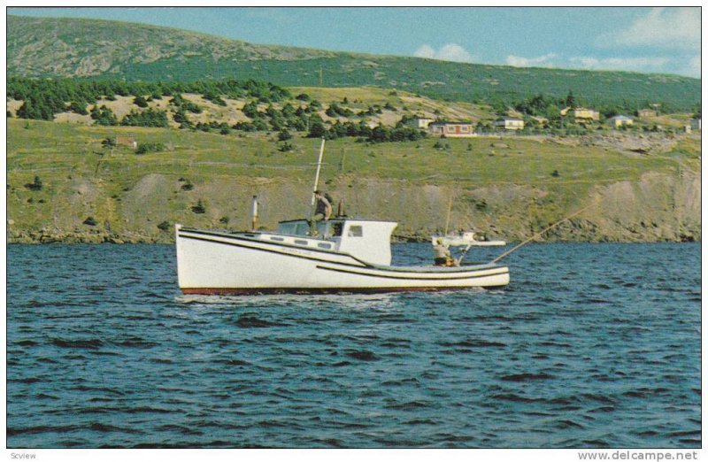 Tuna Boat , HOLYROOD , Newfoundland , Canada , 40-60s